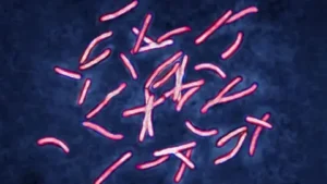 Superbug