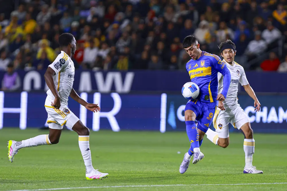Tigres