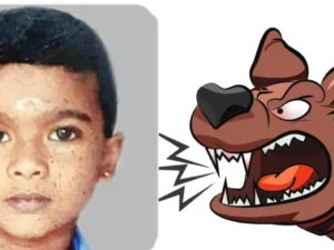Rabies 