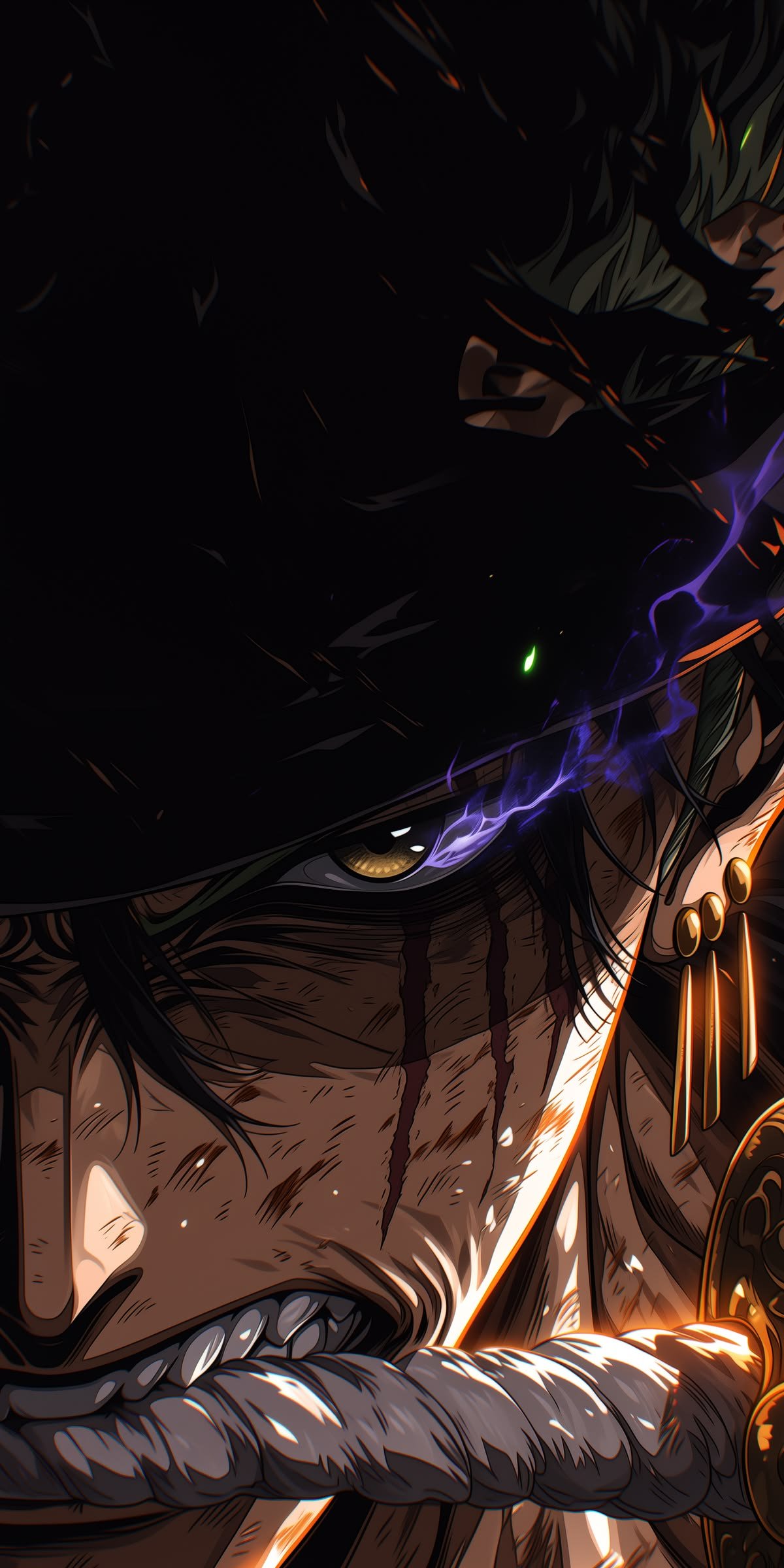 Roronoa Zoro The King of Hell