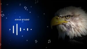WYR GEMI – EAGLE RINGTONE 