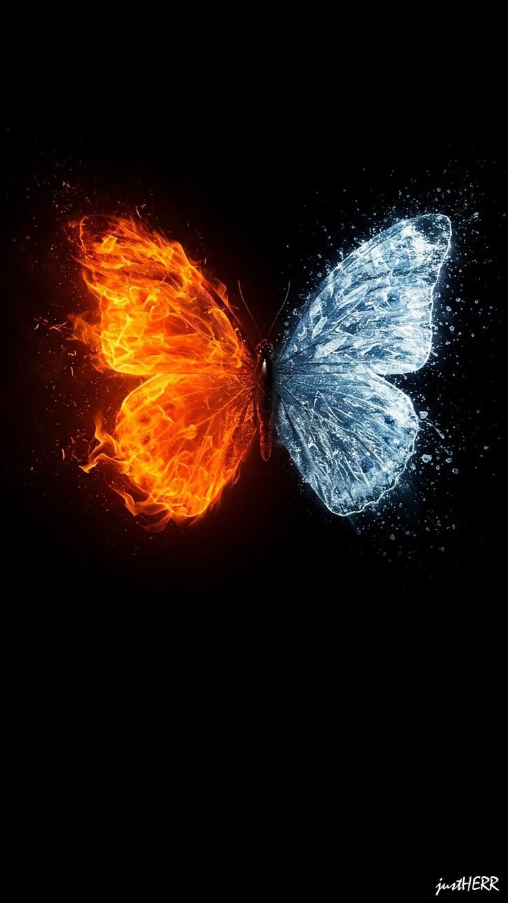 Fire & Ice Butterfly