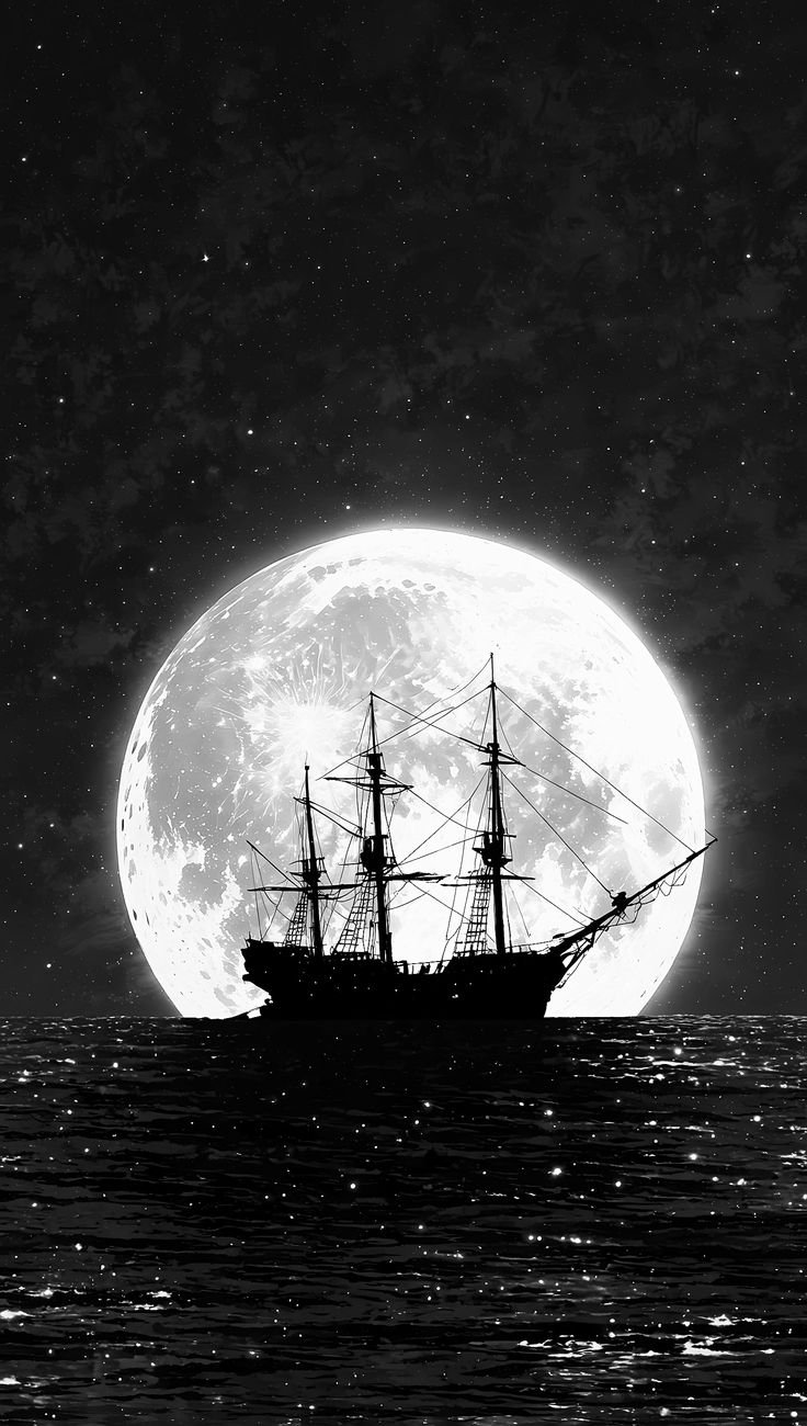 Moonlit Sailing Ship 🌕⛵