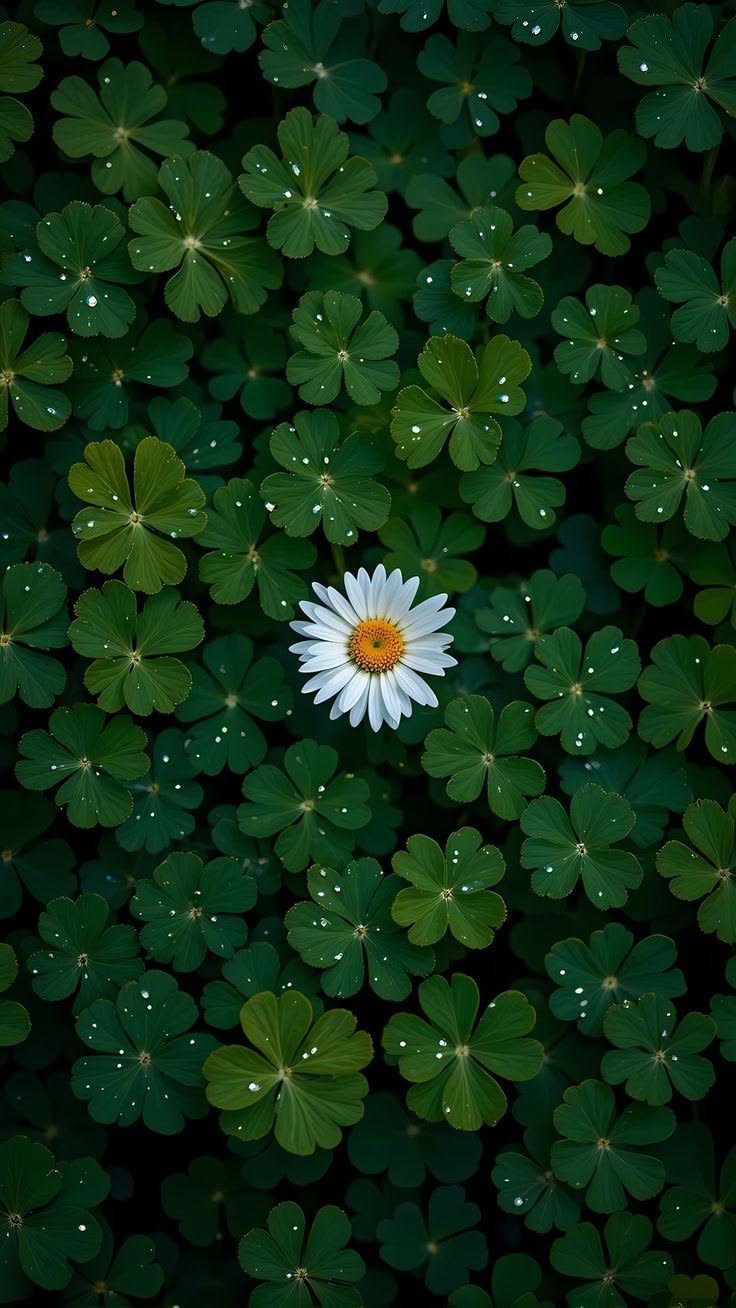 🌼 Blooming in the Wild