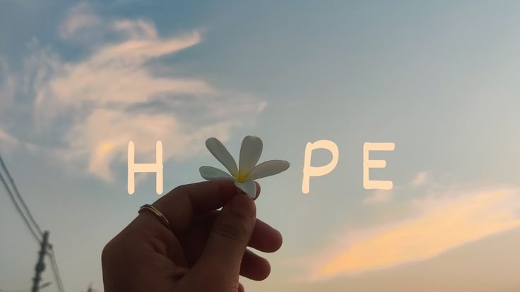 🌸 Hope in Every Moment – Beautiful Flower Sunset Aesthetic Wallpaper