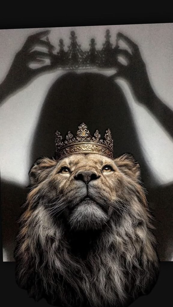 Crowned in the Shadows
