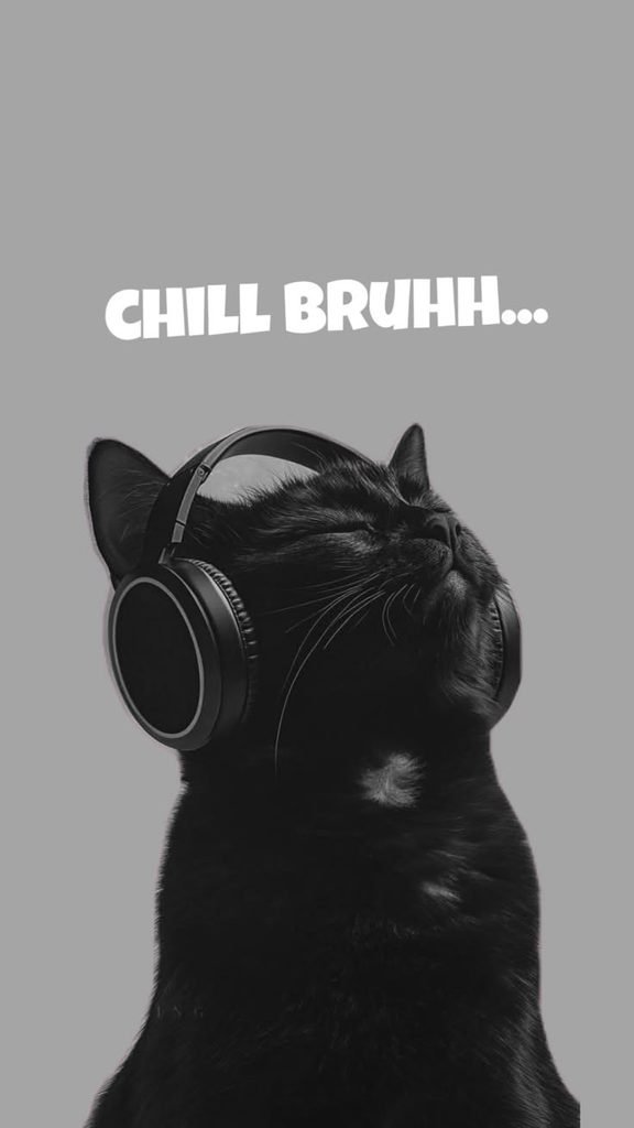 🎧 Chill Bruhhh: Black Cat Headphones Aesthetic