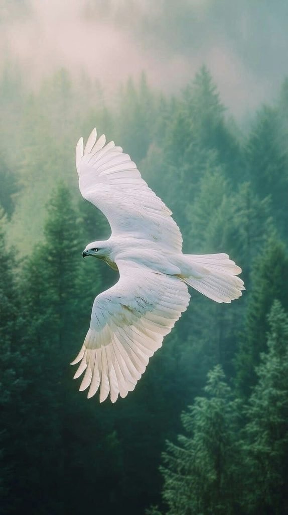 🕊️ White Eagle in the Misty Forest