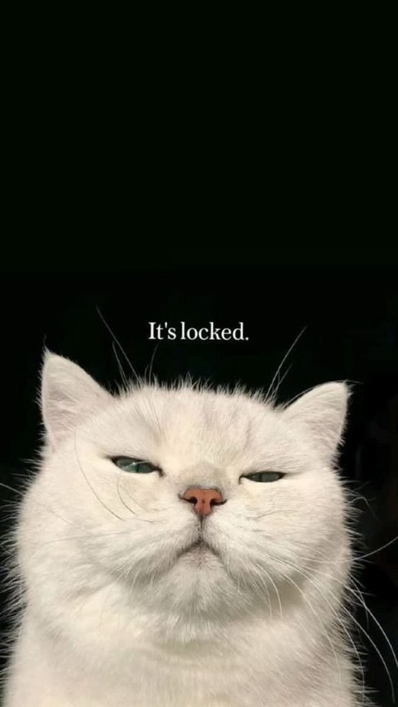 The Ultimate Locked Phone Guardian