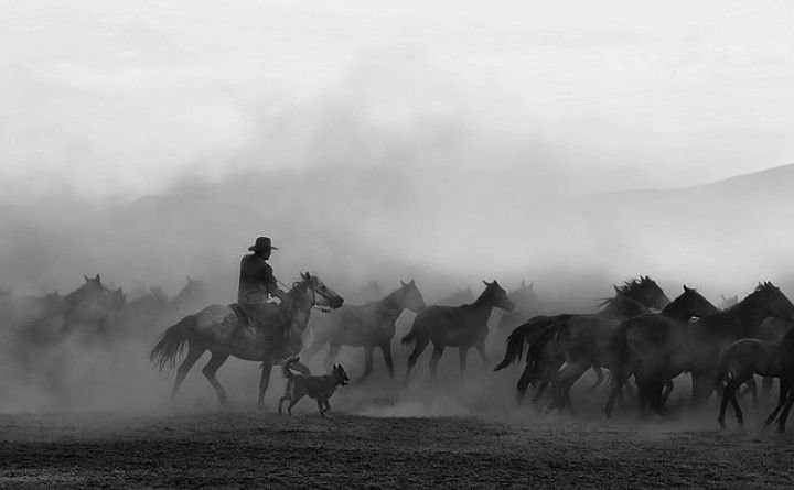 Wild Frontier
