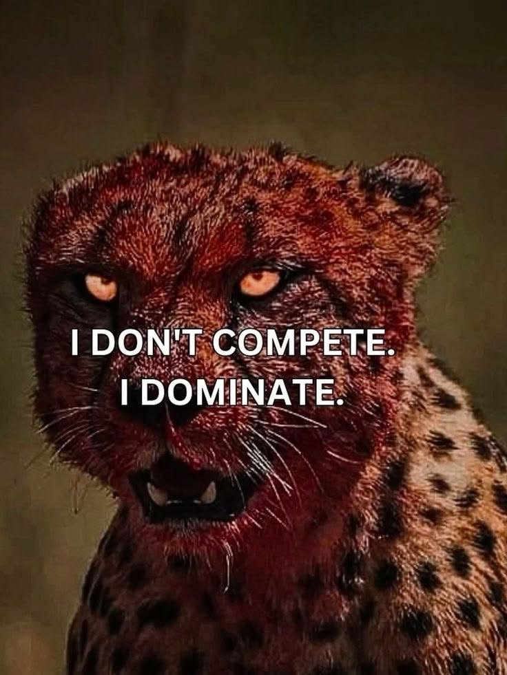 I Don’t Compete, I Dominate 🐆