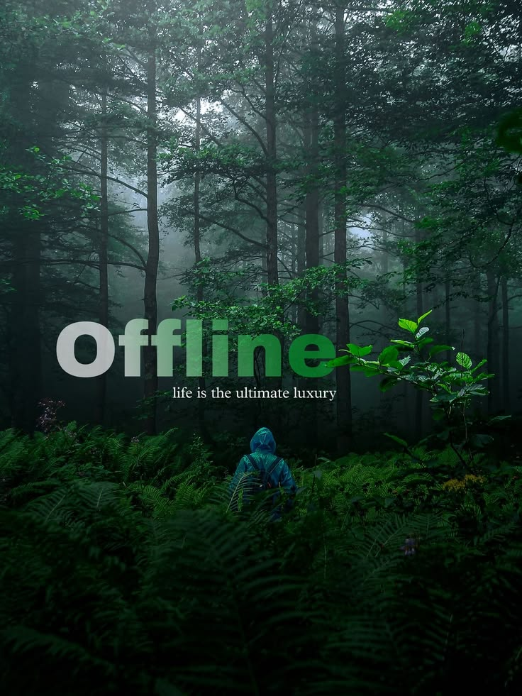 Offline: Disconnect to Reconnect 🌿