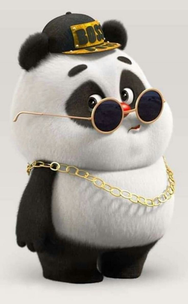 Too Cool to Care 🐼🕶️
